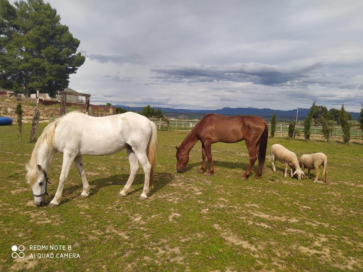 Casa con vistas, piscina y animales de granja, LA CASETA Tarragona Exterior foto