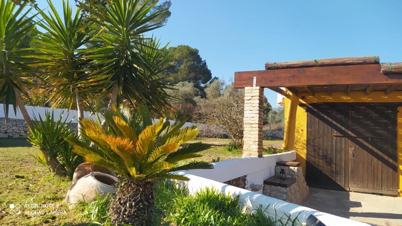 Casa con vistas, piscina y animales de granja, LA CASETA Tarragona Exterior foto
