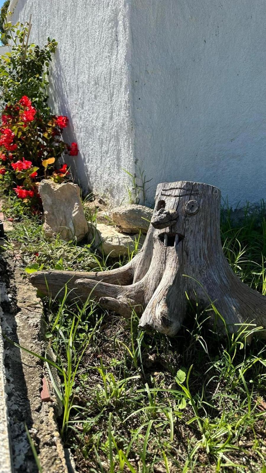 Casa con vistas, piscina y animales de granja, LA CASETA Tarragona Exterior foto